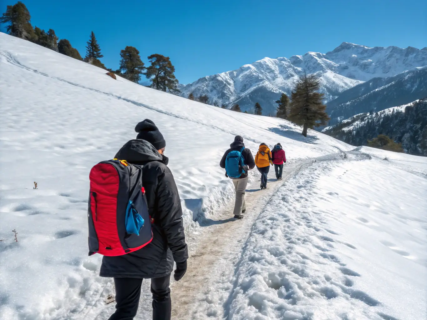 A group of adults participating in a snowshoeing excursion through a scenic mountain trail, led by an experienced guide. The image showcases the camaraderie and adventure of exploring the winter landscape.